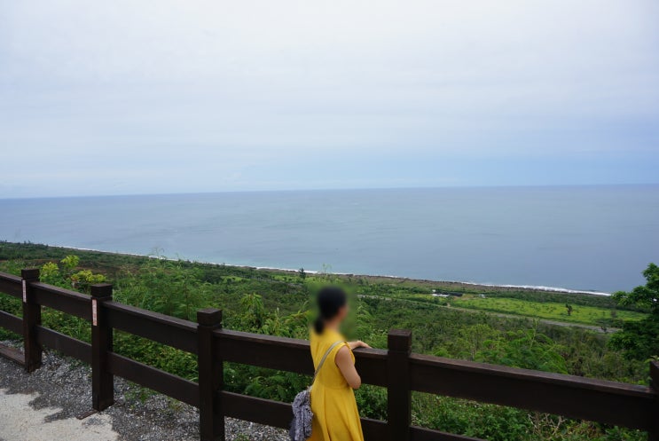  [10박 11일 대만여행] D+3, 컨딩 반일투어-타이완 투어 버스, 컨딩 라멘 맛집, 컨딩 투어 예약하기