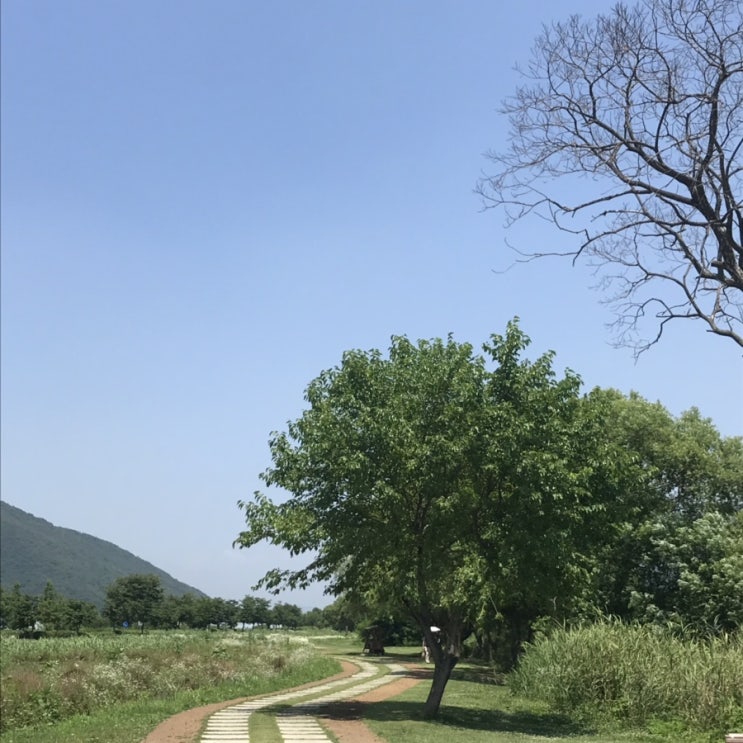  7월의 반쯤 지난 일상(남양주, 물의 정원, 남양주 카페, 생일파티, 카페 순이)