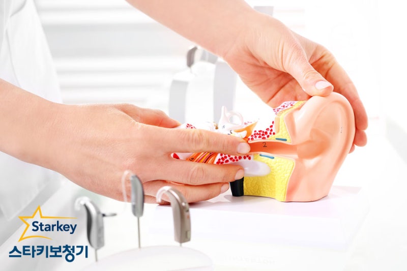 원주 보청기 : 전문적으로 알아보자! 6