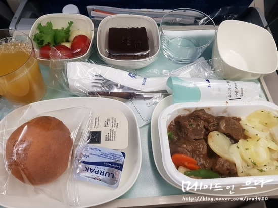  대한항공 모닝캄 김해-인천-뉴욕공항 JFT