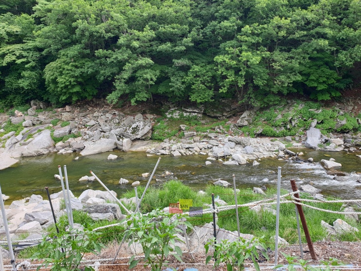 우리 숲과 산을 아끼는 임(林)자~ 산림청과 함께 합니다