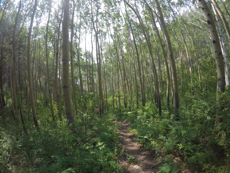  세계 오지 백패킹 러시아 그레이트바이칼 트레킹 GBT(Great Baikal Trail) 백패킹 성지