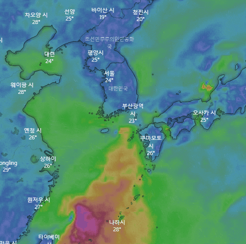 제5호 태풍 다나스 제주 예보에요