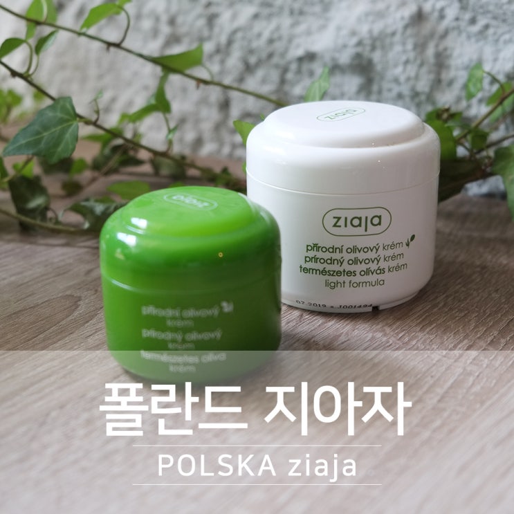  폴란드 체코 출장 선물로 좋은 지아자 Ziaja 산양유 크림