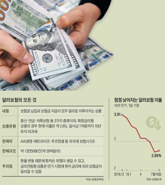 너도 나도 달러보험… '환율리스크' 따져 보셨나요 너도 나도 달러보험… '환율리스크' 따져 보셨나요