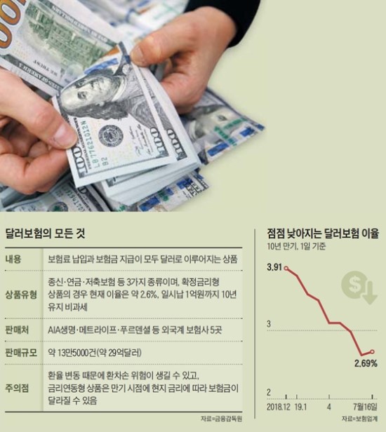  너도 나도 달러보험… '환율리스크' 따져 보셨나요