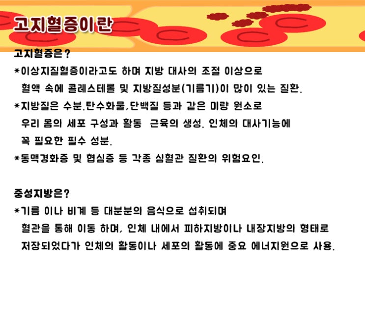  고지혈증이란