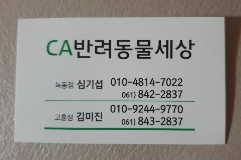 사진 2
