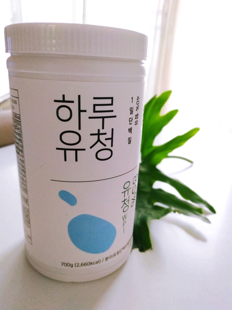  하루유청 , 완전 간편하게 하루 한잔으로 단백질 채워볼까?