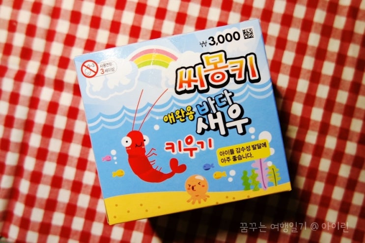  다이소 씨몽키 애완용바다새우 키우기
