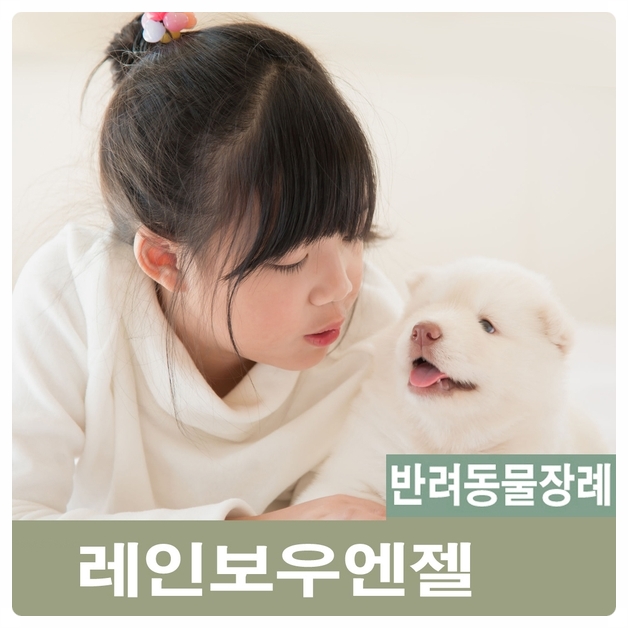  광주 구리 남양주 시 강아지장례 반려동물장례식장을 선택하는 법은? [애견장례식장 레인보우엔젤]
