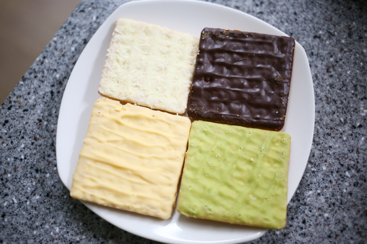  수입과자 추천 존맛탱 게리 치즈크래커와 초코/녹차/코코넛 비교!