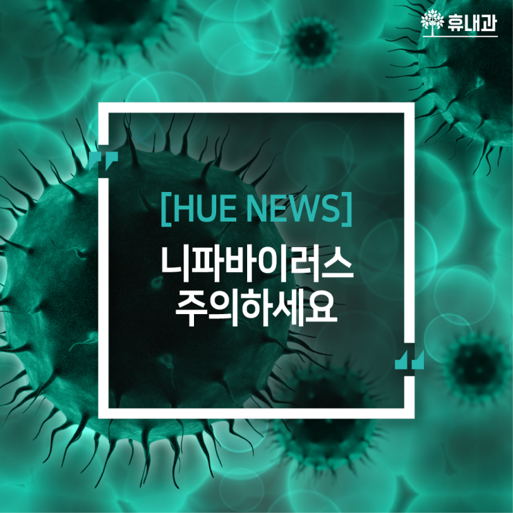  태국, 베트남 해외여행 시 니파바이러스를 조심하세요! [인천 예방접종]