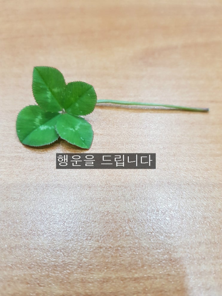  다나스 태풍이 온다고 또 기상청 우리나라가 맞느냐 일본기상청이맞느냐 