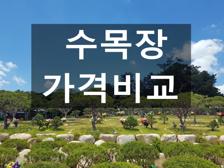  수목장 가격비교 나무와 위치가 결정합니다.