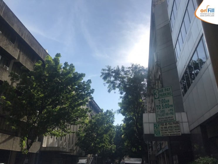  [필리핀 자유여행]2019년 7월 19일 금요일 필리핀 마닐라, 세부, 보라카이 날씨 현황" 태풍(태풍 '다나스' 필리핀명: 팔콘)이 지나갔습니다!"