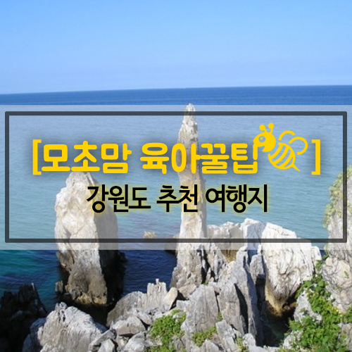  [모초맘 육아꿀팁] 모초맘이 추천하는 강원도 추천 여행지