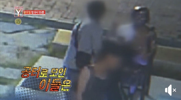  궁금한이야기y 소녀상 침 뱉기 사건 일베.이옥선할머니
