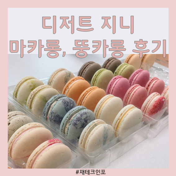 카페디저트/마카롱납품 디저트 지니 마카롱, 뚱카롱 제격이네요