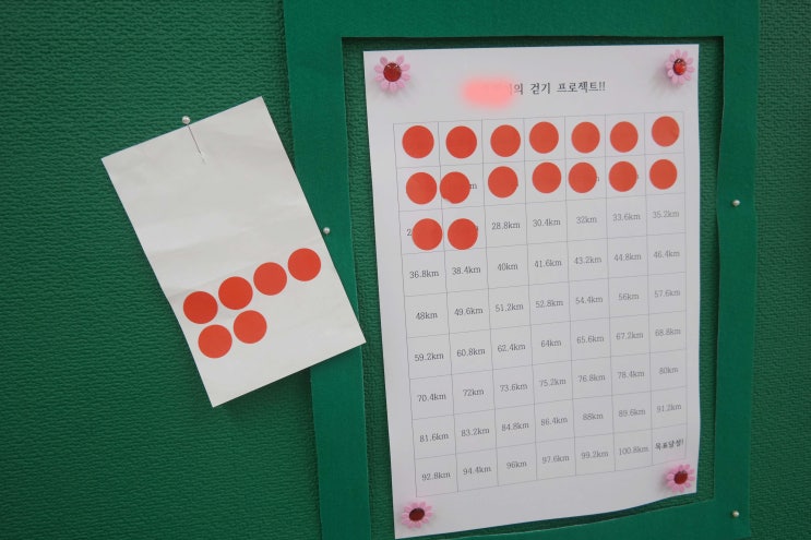  기본생활습관이 안 잡혀있는 장애학생의 행동수정 : 놀기선생 /특수교육 /문제행동수정