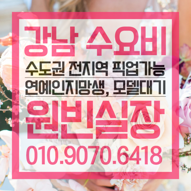  수요비 최저로 노세요^^