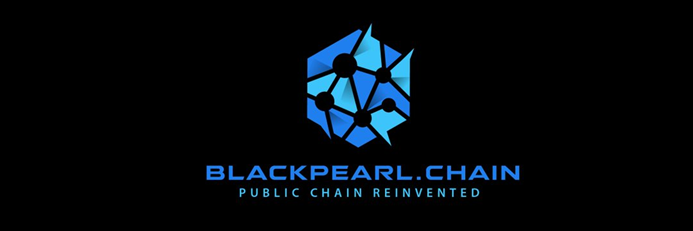 블랙펄체인(Blackpearl Chain) - 새로운 개방형 블록체 운용방식 네트워크