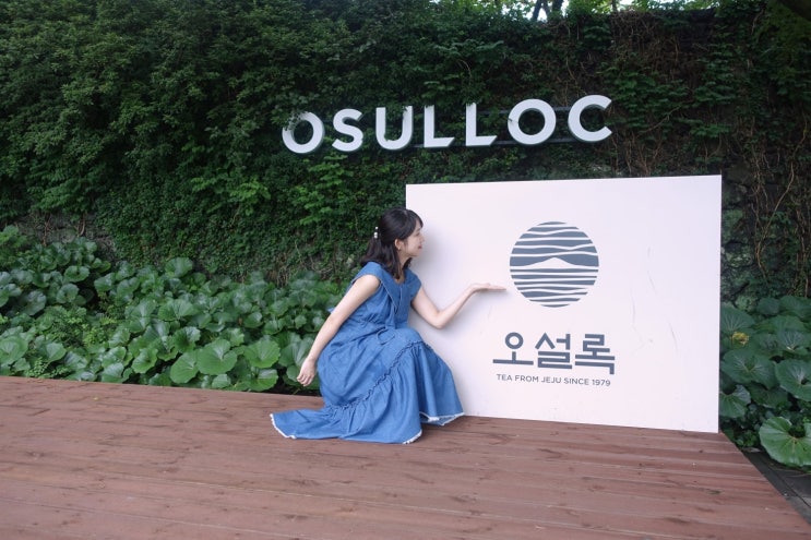  [제주도 2박 3일일정/제주도 여행일정/제주도 아기와 함께] 보람차게 다녀오기