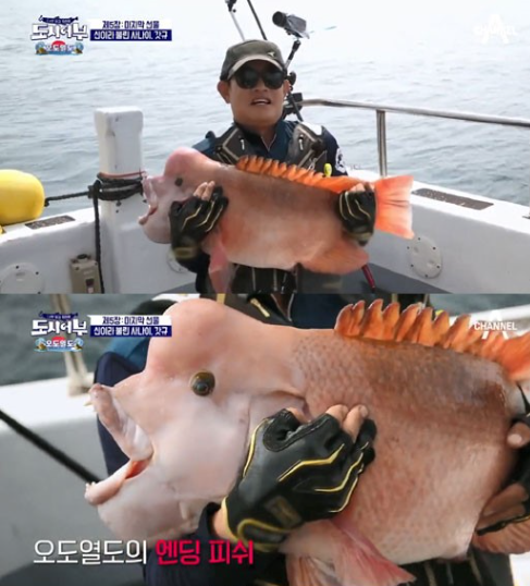  '도시어부' 이경규, 81cm 혹돔 낚시→다시 방생…왜