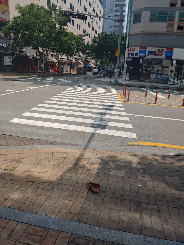 장항선타고 예산한바퀴~