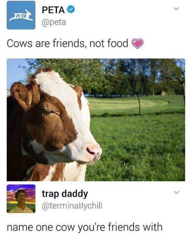 PETA : 소는 음식이 아니라 친구입니다