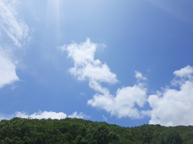  오늘 휴가가는데......