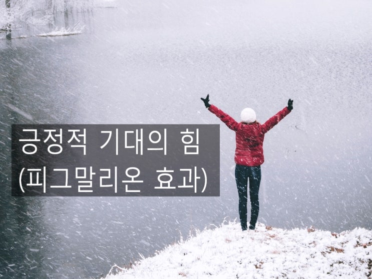  피그말리온 효과- 긍정 확언 (by 감사부자윤영쌤)