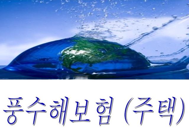  현대해상 주택풍수해보험으로 태풍 지진 호우에 대비하세요