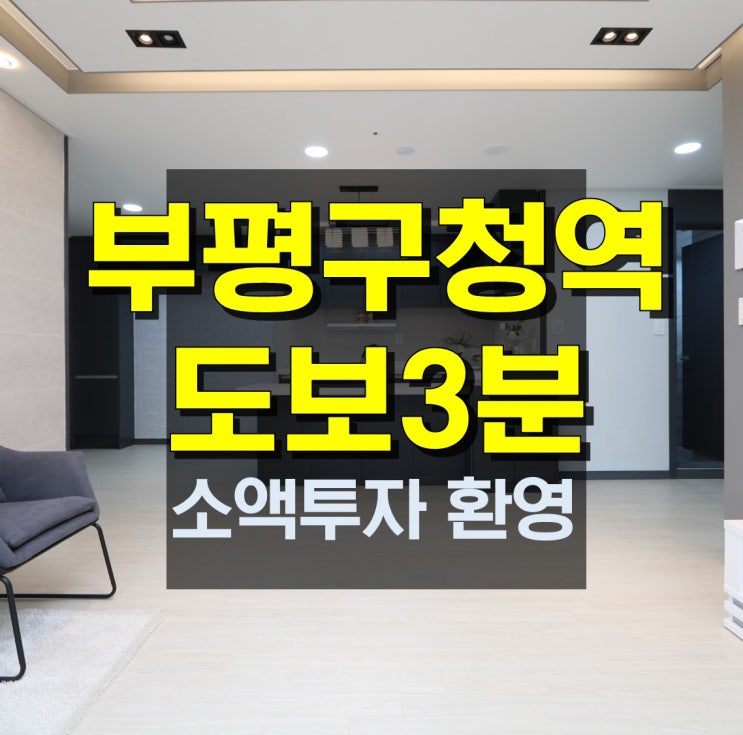  부평동신축빌라 7호선역세권 비쥬얼甲이네