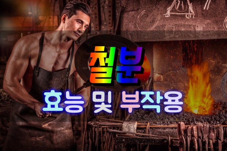  조혈작용의 핵심 철분 효능 및 부작용 살펴보기