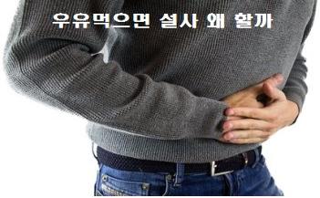  우유먹으면 설사 왜 할까
