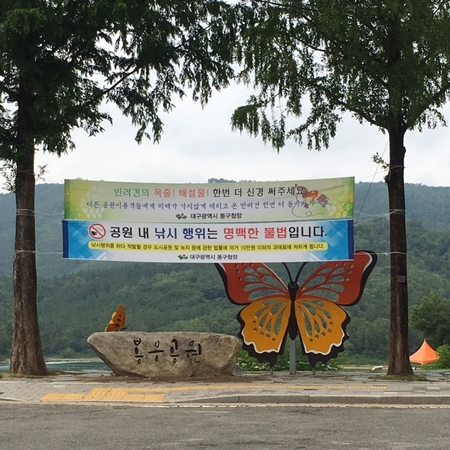  [Bs] 극태왕사슴벌레 대구 봉무공원 곤충 생태관 체험