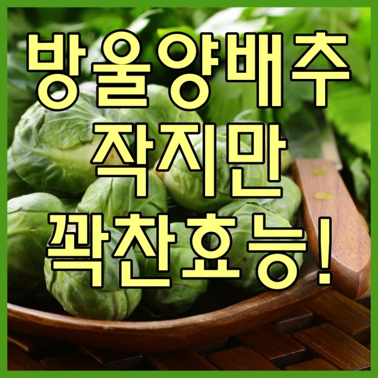  방울양배추 효능