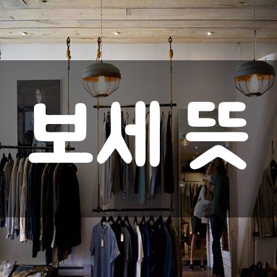  【보세 뜻】 // 제대로 알고 계신가요?!