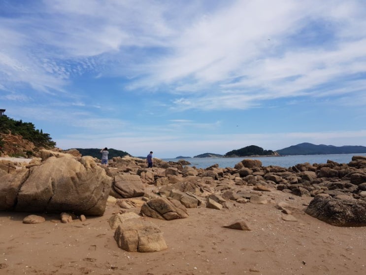 인천 을왕리해수욕장  & 영종도을왕리(갯벌체험 바다 해변 낚시 조개)