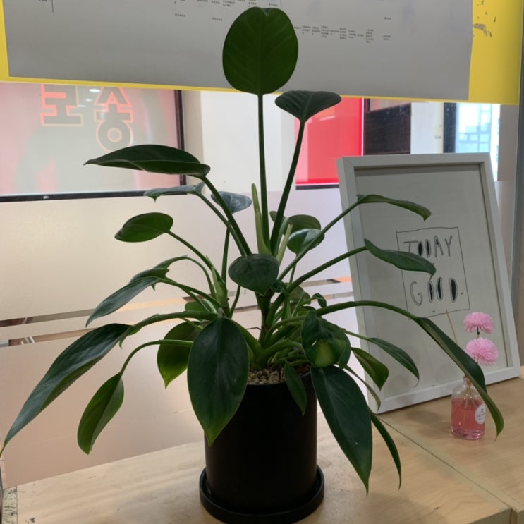  20190718 (문득)