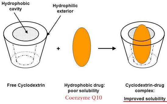 코엔자임Q10의 흡수율을 높이는 크릴 오일과의 배합 이외에 Cyclodextrin 과의 배합 방식 소개