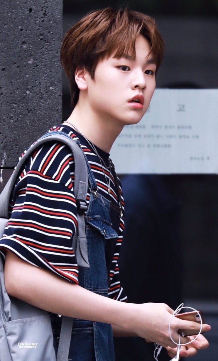  [프로듀스X101남도현얼킨오버롤]UL:KIN COLLECTION LABEL_COLORBLOCKED DENIM OVERALL