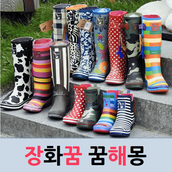  장화꿈 꿈 풀이 해몽