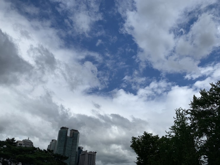 산책(2019.07.20.)
