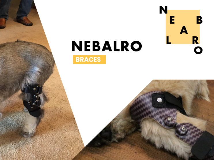  NEBALRO