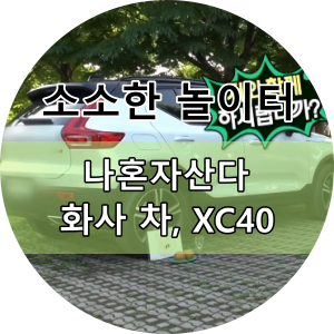  #화사 차, 볼보XC40(vs XC60)