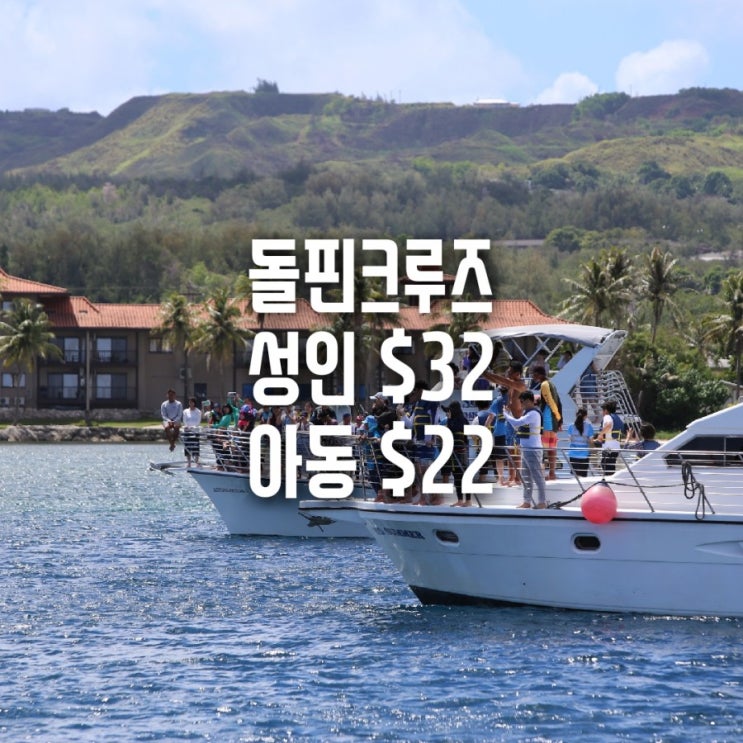  괌돌핀크루즈 돌고래투어 추천