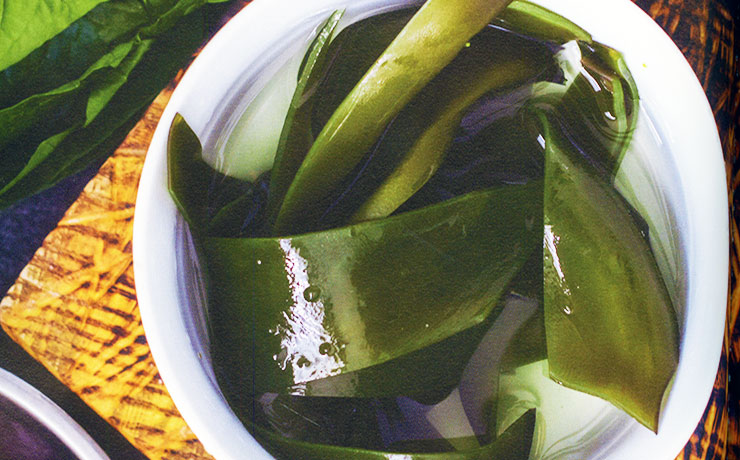  다시마 효능 요리 다시마콩나물무침