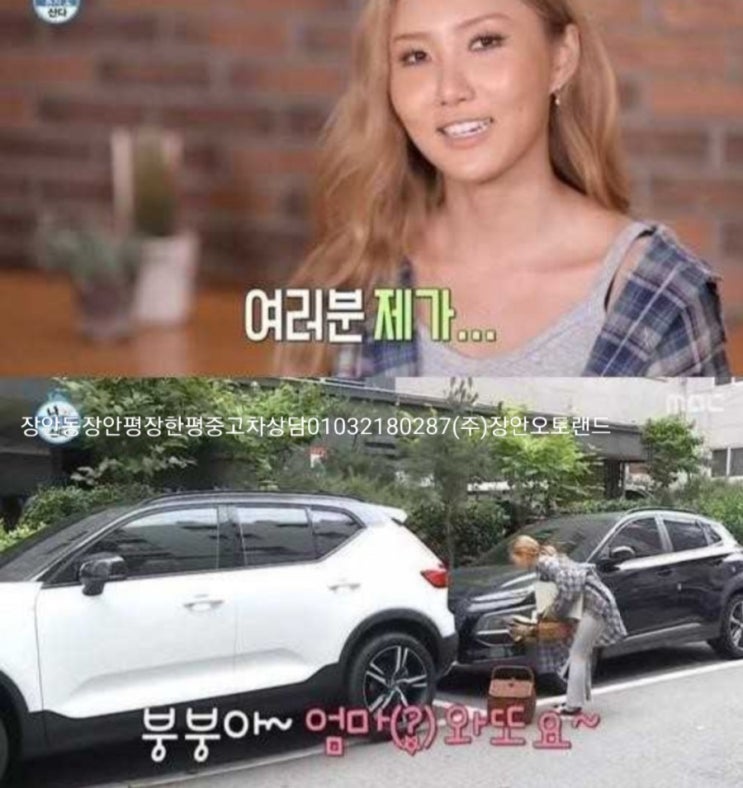  장안동중고차TV유튜버허사장 마마무화사첫차볼보XC40 중고차시세 장안동중고차경매장